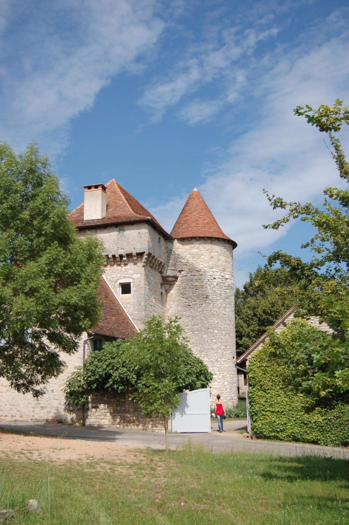 Chateau De Camboulan Ambeyrac Exteriér fotografie